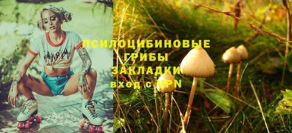 бутират Алексин